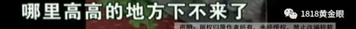 Pվ_P(gun)Сһ̈@wP