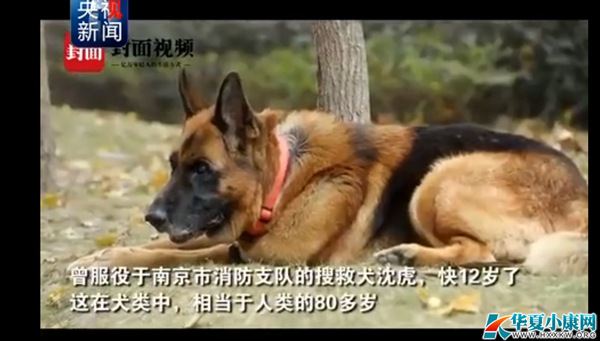 봨оȳ15 80g