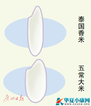 Ј~sy (bio)Q峣ס ų
