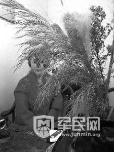 Ů1.7|ԪD(zhun)~ȫo_