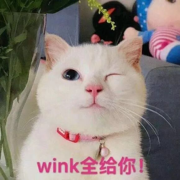f֙CǧfeUƷu @Щؕl(f)F(xin)@̎õ