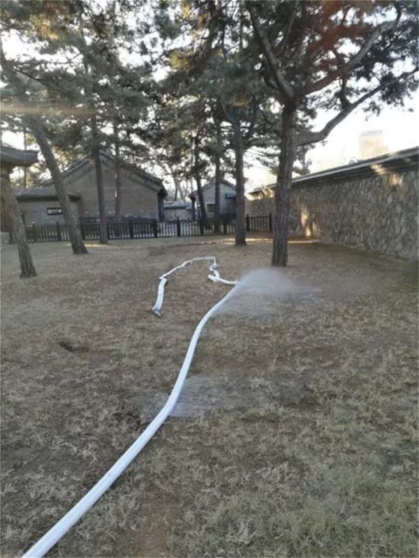 \