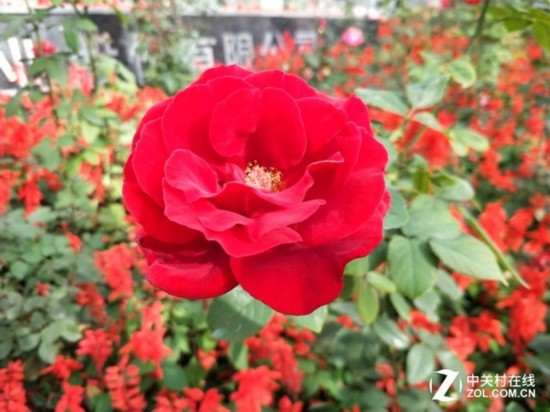 vivo X20 Plusu(png)y(c)iPad]Ј(chng) 