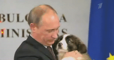 t014b90518fa9a2f051.gif?size=400x213