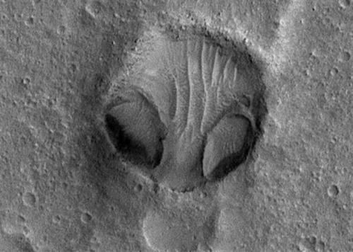 DƬԴNASA