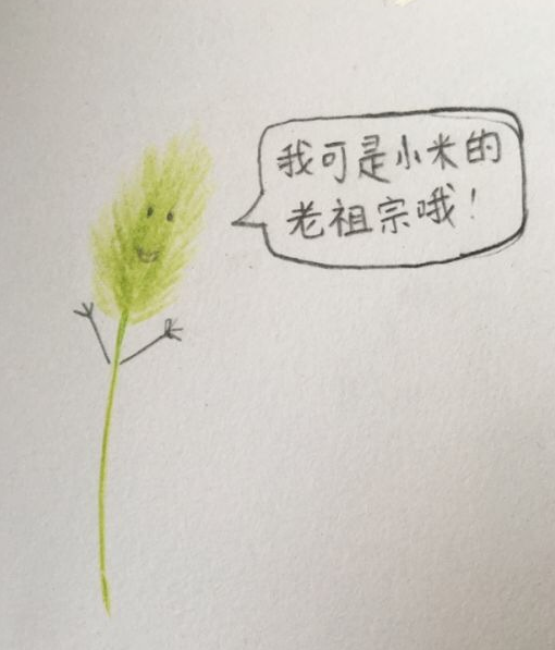 Ű˳rЇڳɶ