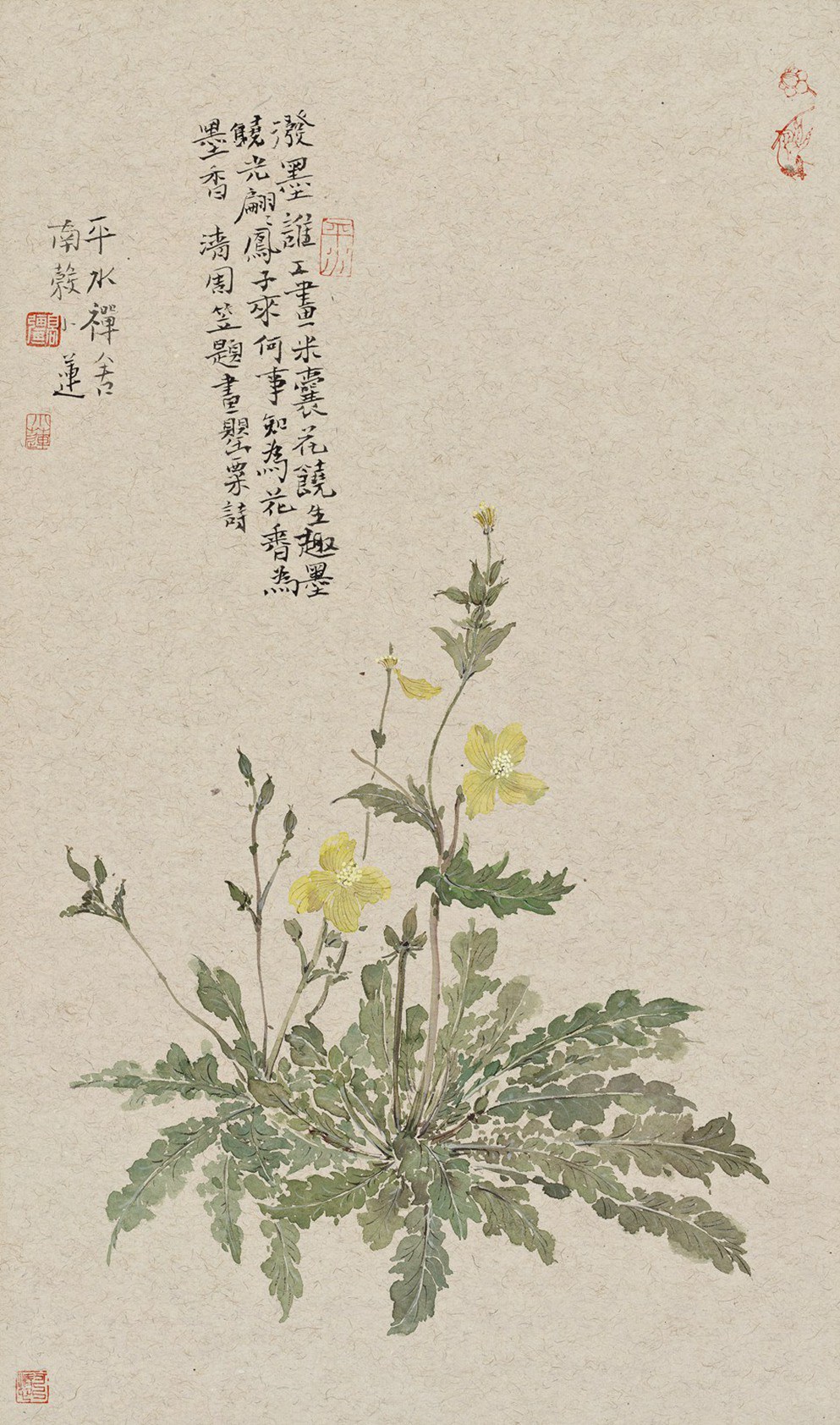 ߏ(qing)Ʒ.jpg