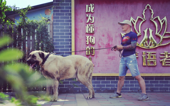QQ؈D20180820092758.png